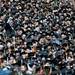 A Michigan graduate stands and celebrates during Spring Commencement on Saturday, May 4. Daniel Brenner I AnnArbor.com